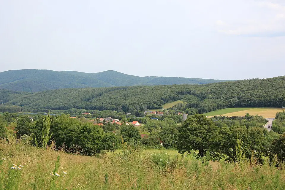 Mühlparz