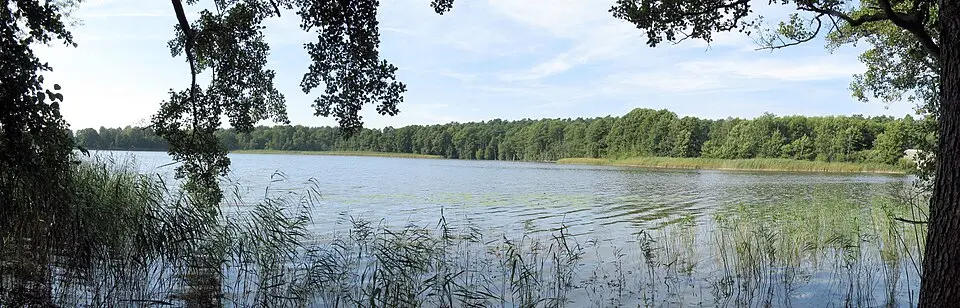 Hofsee