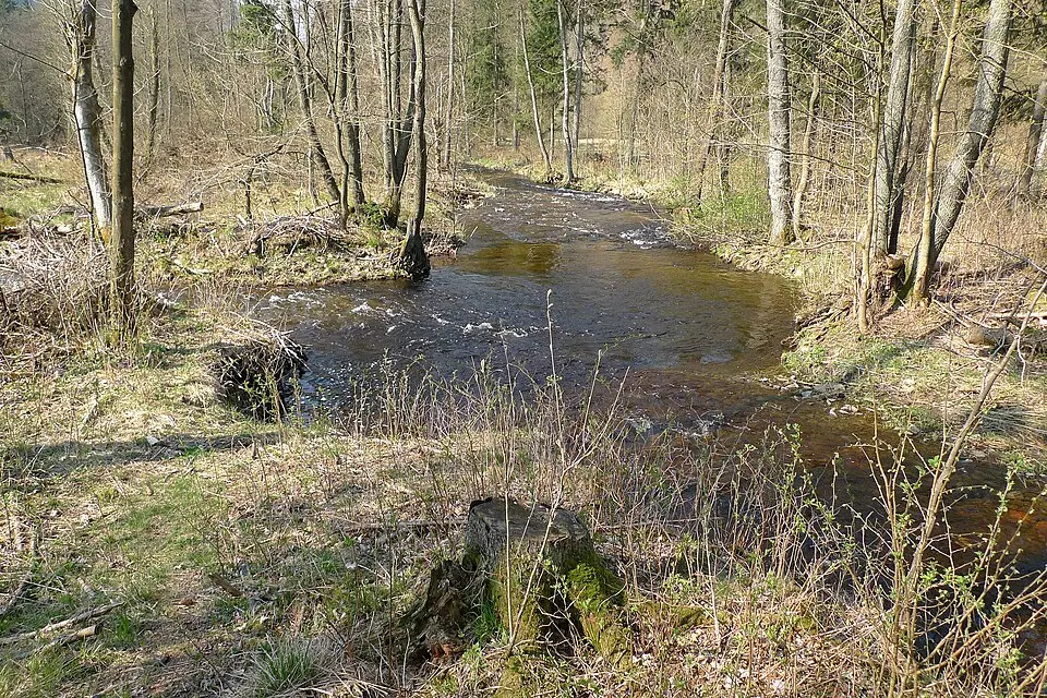 Breitenbeek