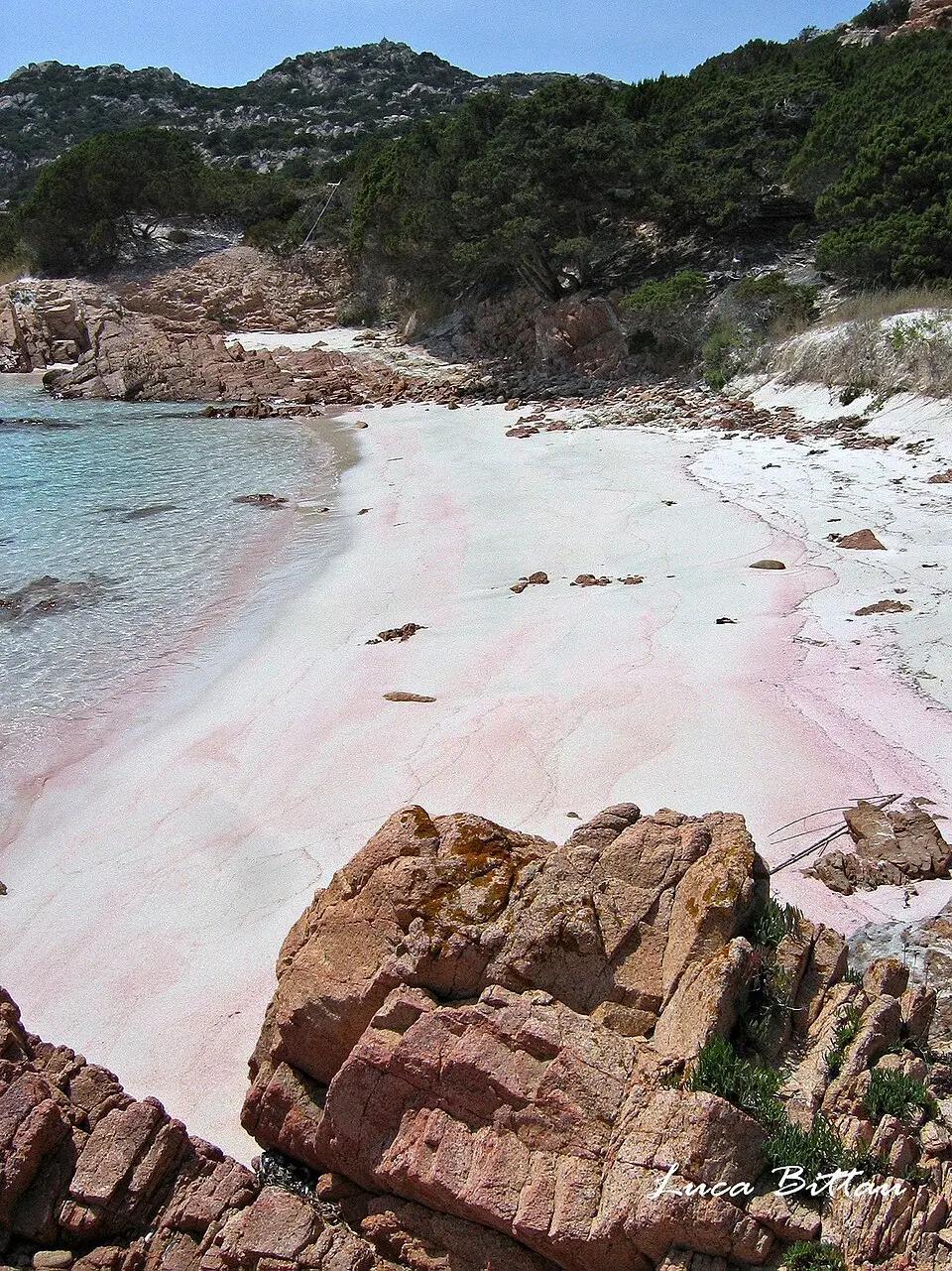 Spiaggia rosa