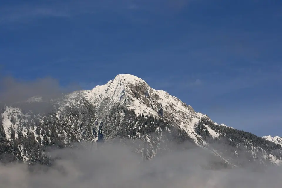 Spitzegel