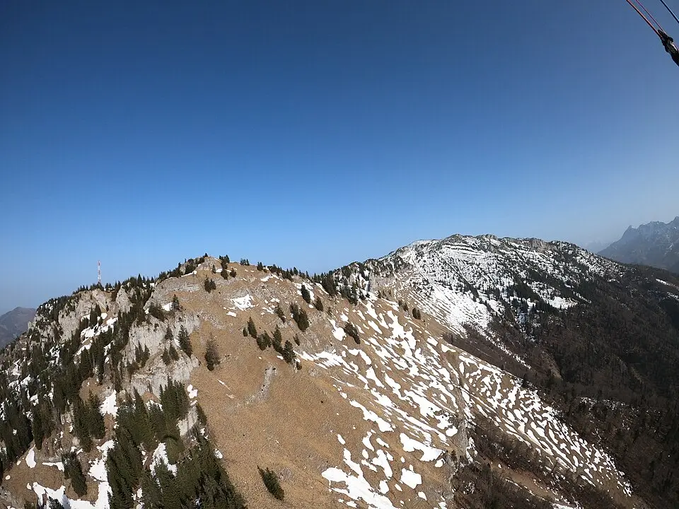 Spitzplaneck