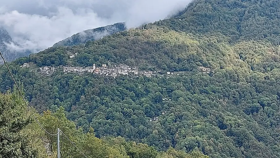 Spoccia
