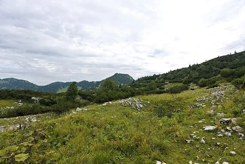 Springkogel