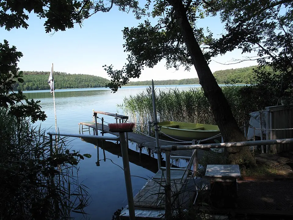 Springsee