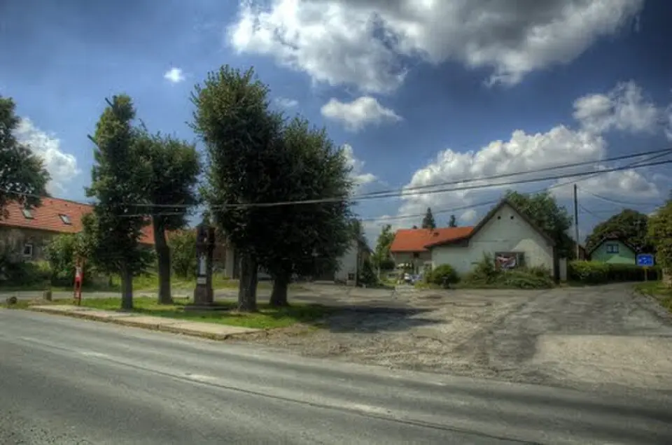 Srbín