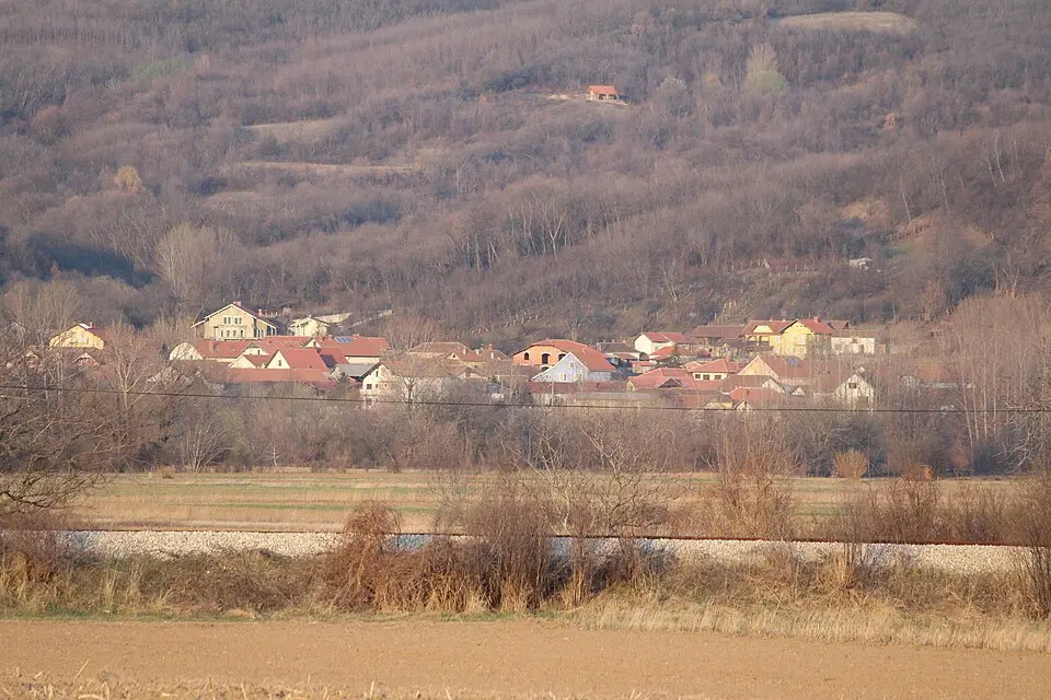 Општина Кучево