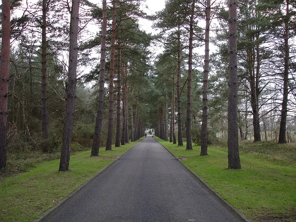 Brookwood Cemetery