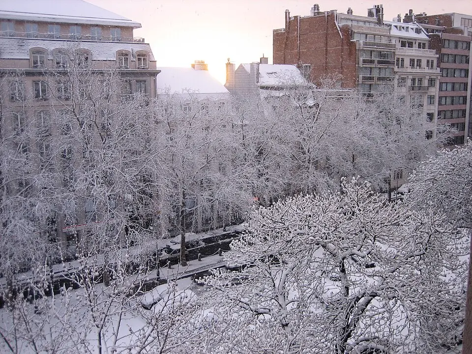 avenue Louise - Louizalaan