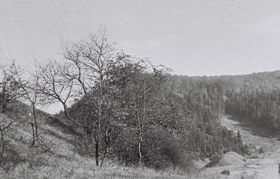 Alte Burg (Berka vor dem Hainich)