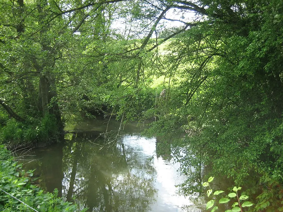 Avière
