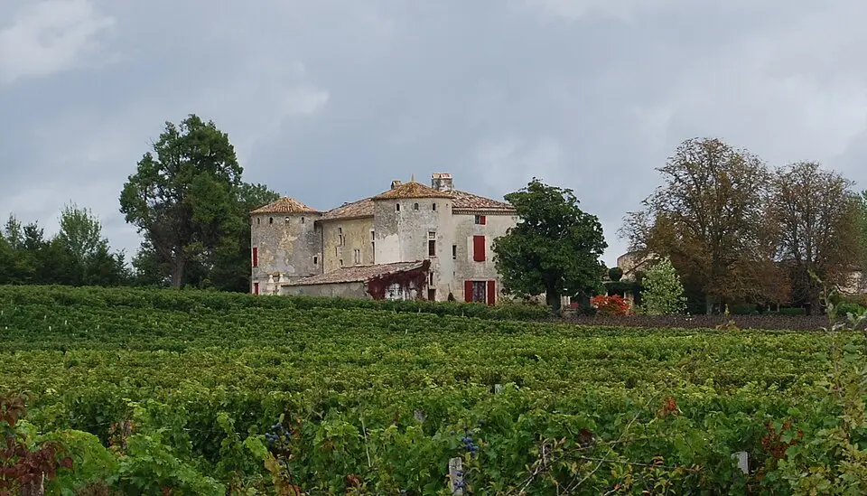 Obrázek: William Ellison · CC BY-SA 3.0 château de Châteauneuf