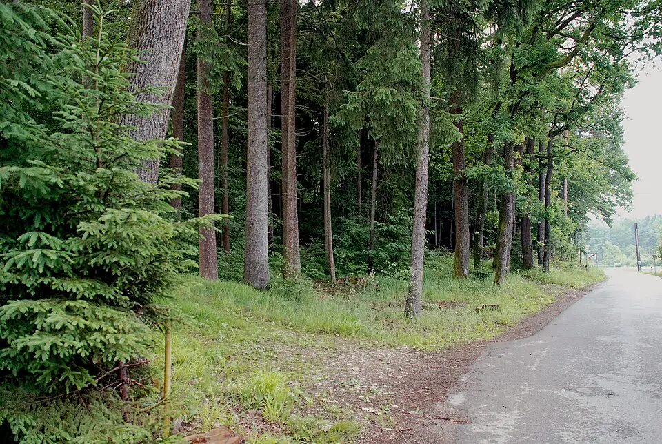 Römerzeitliches Hügelgräberfeld Sulb
