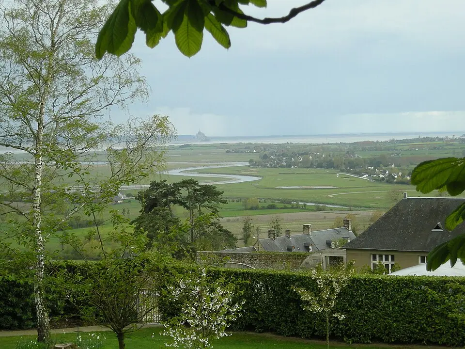 Sée