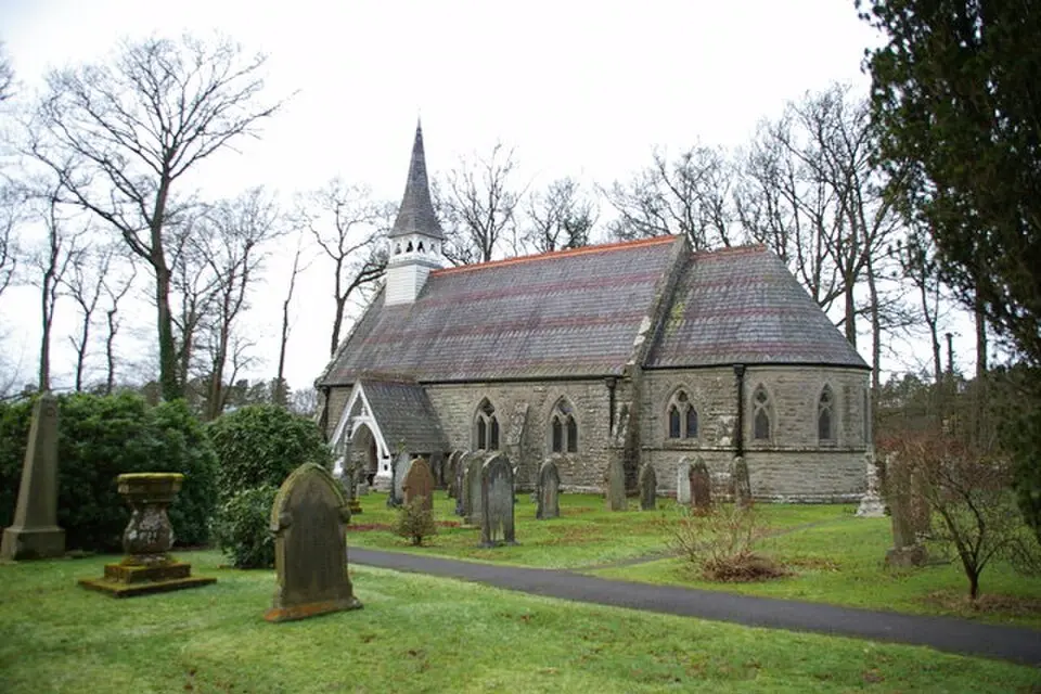 Nicholforest