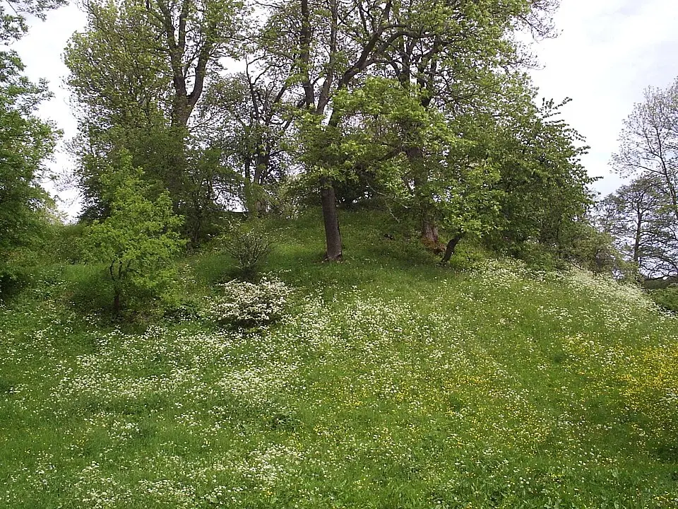 Axevalla hus
