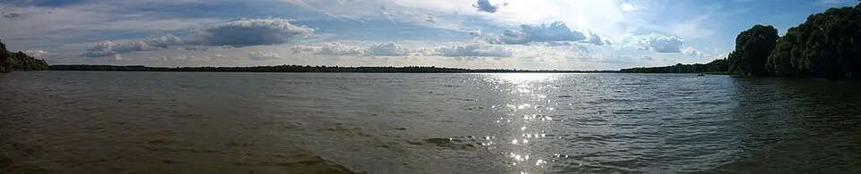 Saro