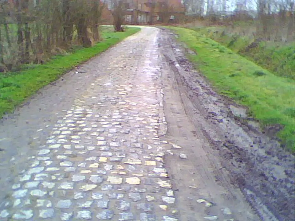 Carrefour de l’Arbre