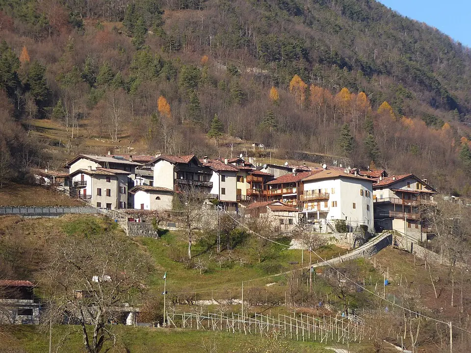 Staineri