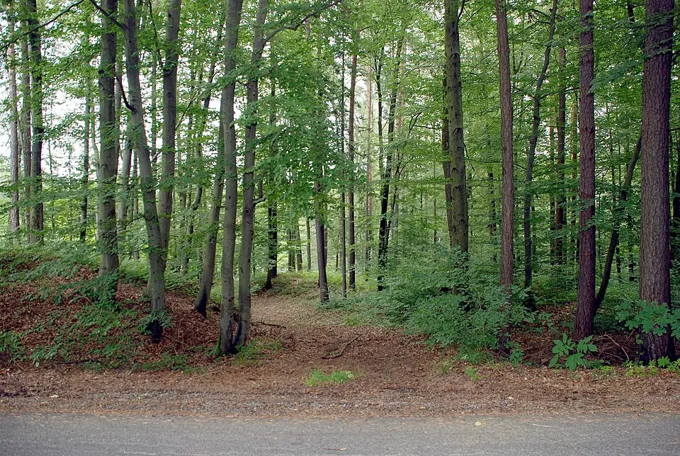 Slika: Josef Moser · CC BY-SA 3.0 Hügelgräberfeld Wetzelsdorfberg