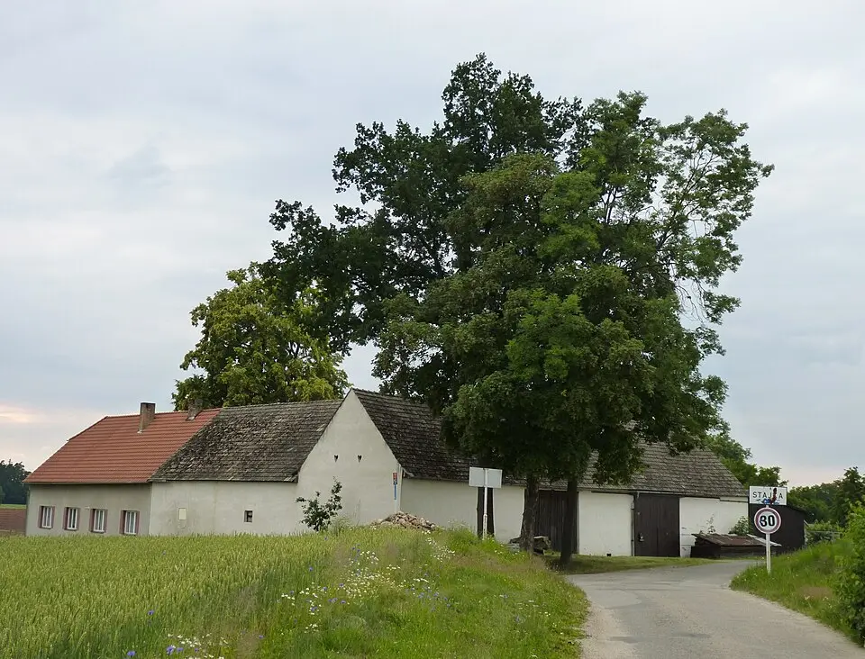 Stajka