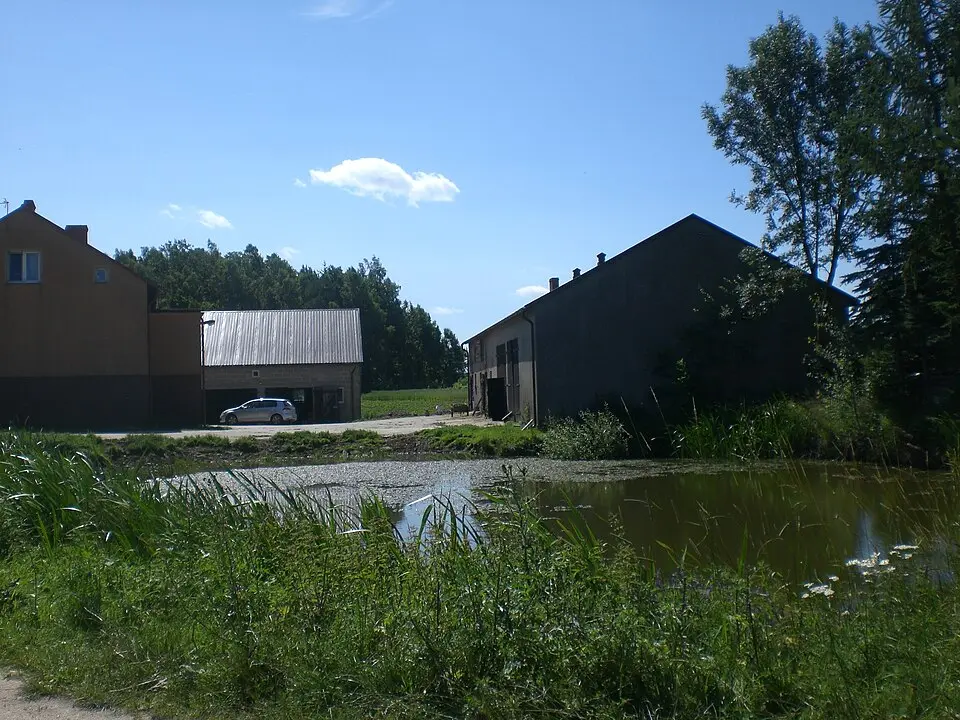 Stanisławy