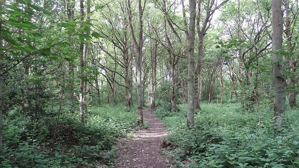 Stanmore Country Park