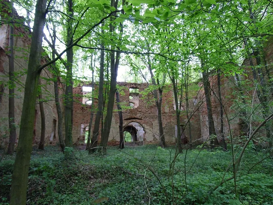 Pałac (ruina)