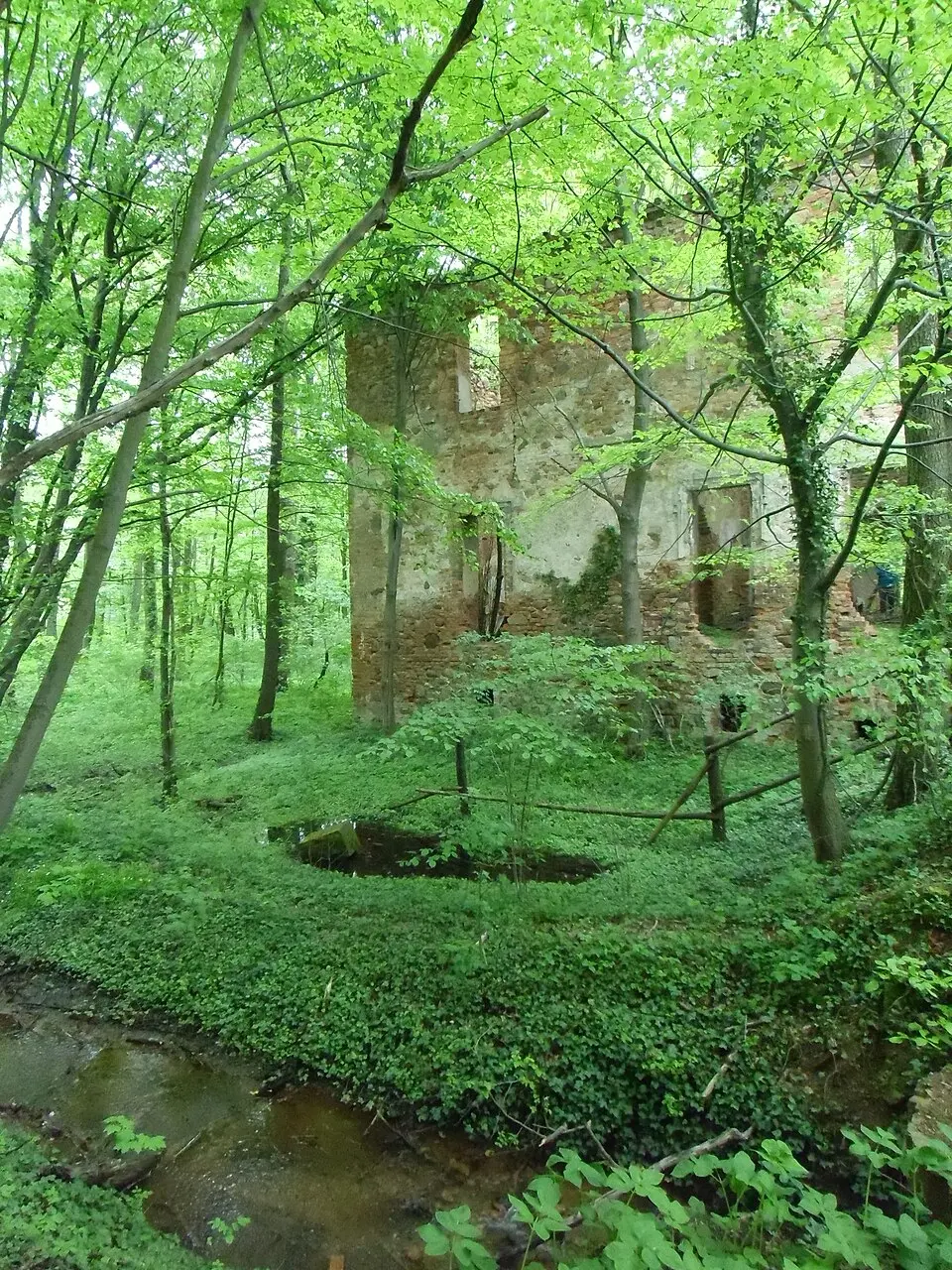 Zespół pałacowy