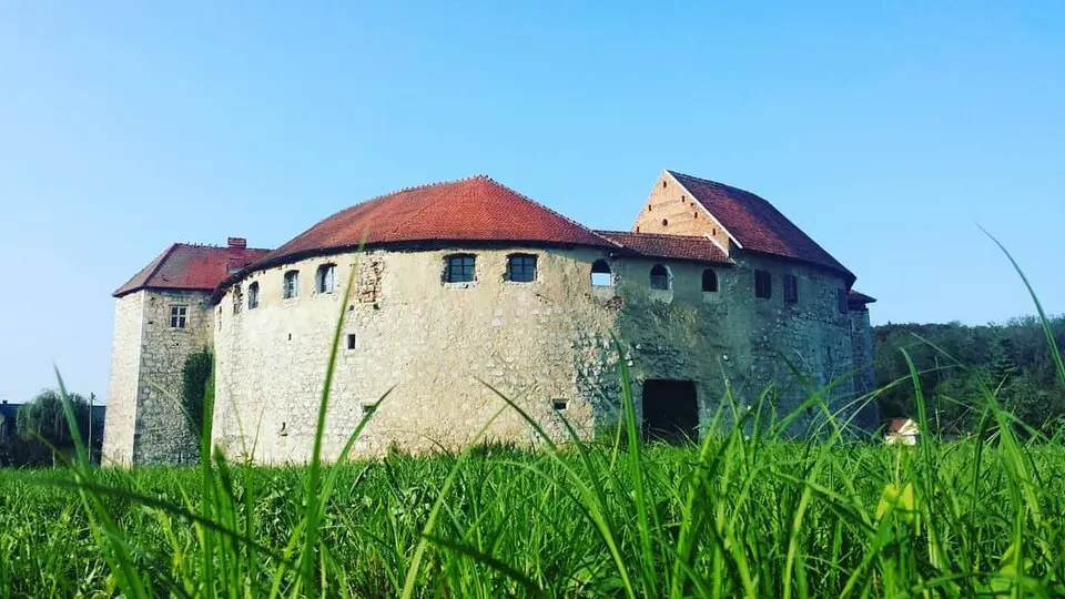 Grad Ribnik