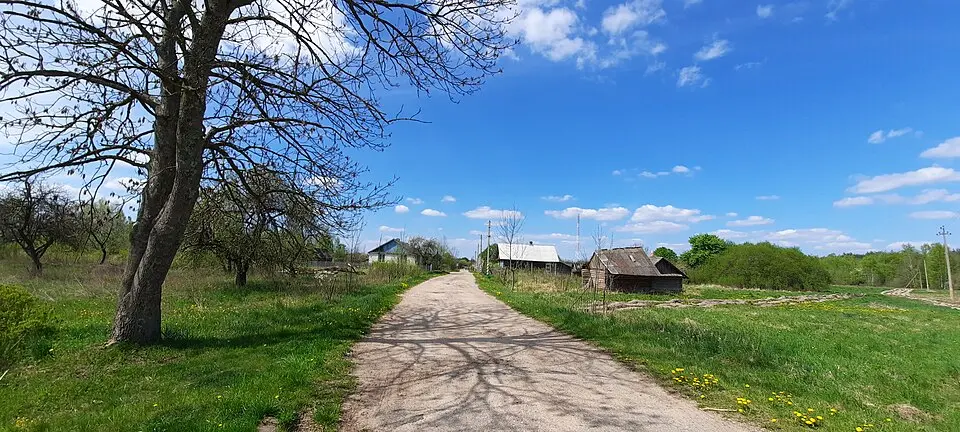 Старое Сяло
