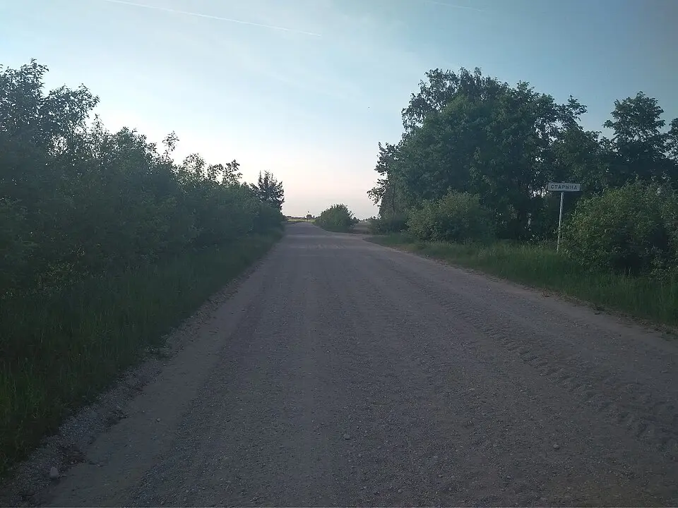 Старына
