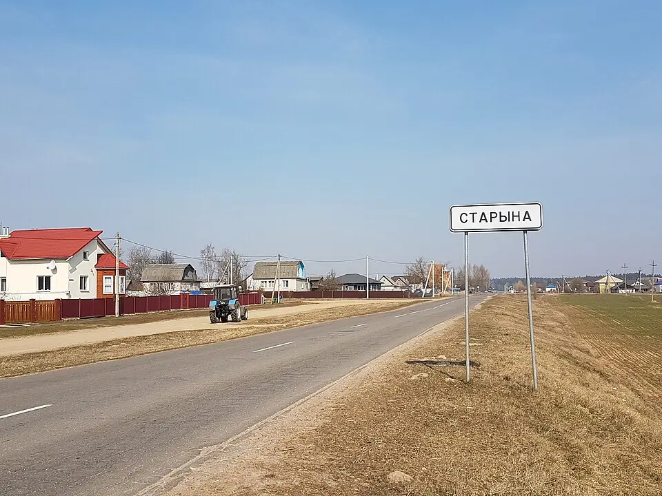 Staryna