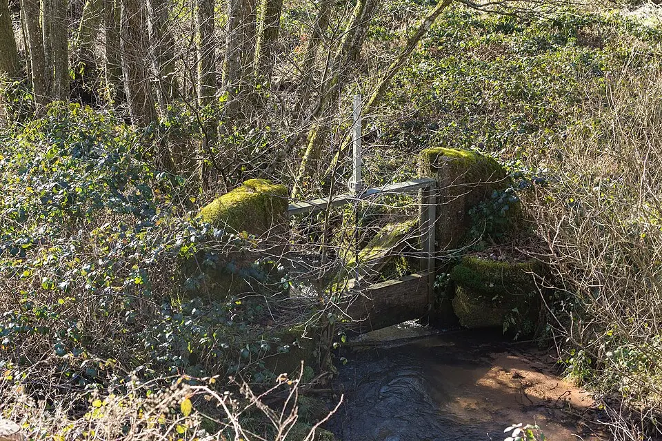 Wellbach
