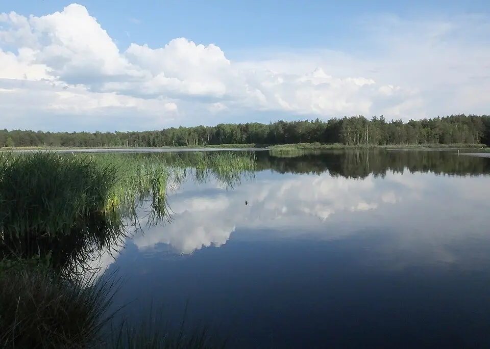 Helenów