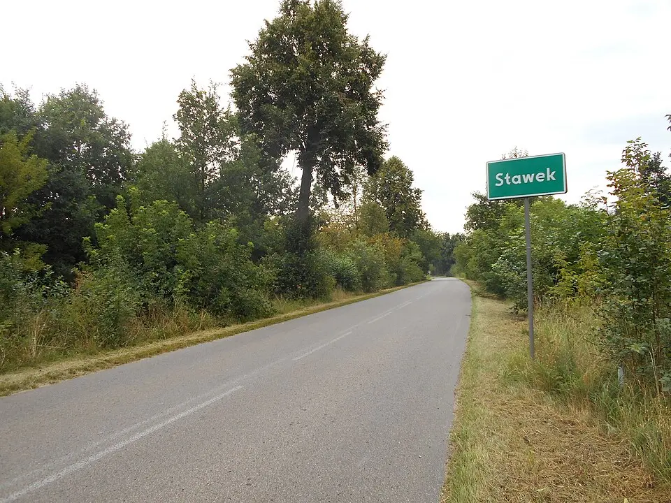 Stawek
