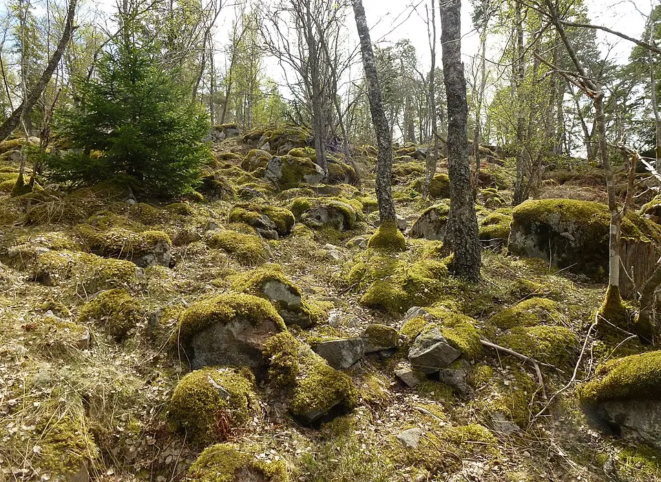 Stäketskogens naturreservat