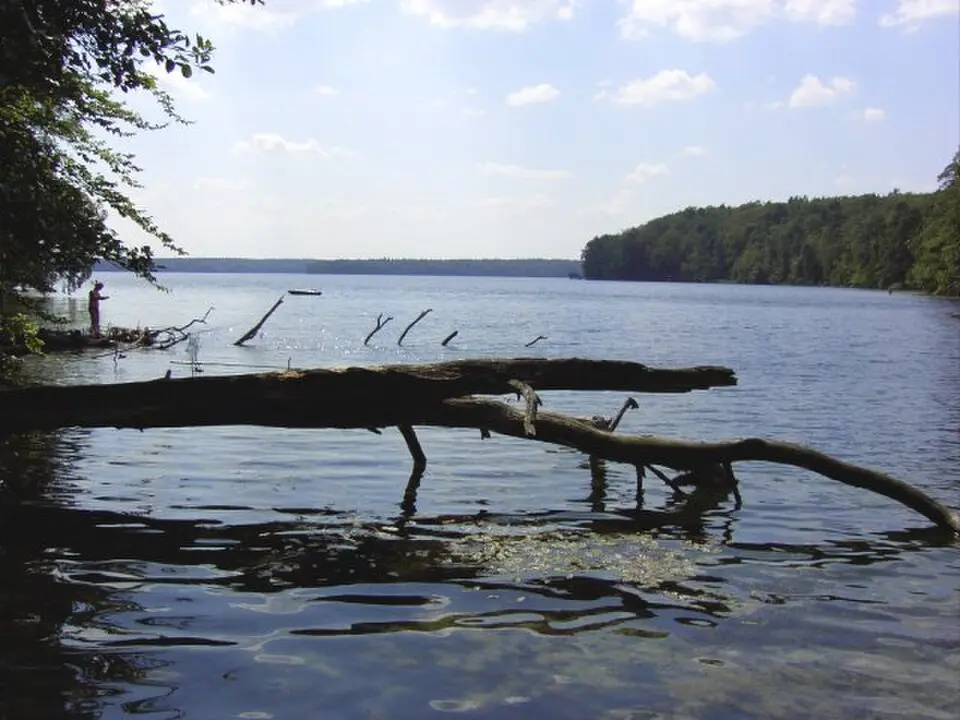 Image: Vater von Oktaeder · Public domain lac Stechlin