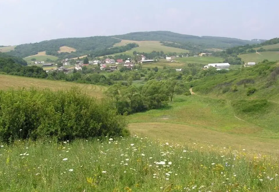 Obrázek: Andrej Belovežčík · CC BY 2.5 Štefurov