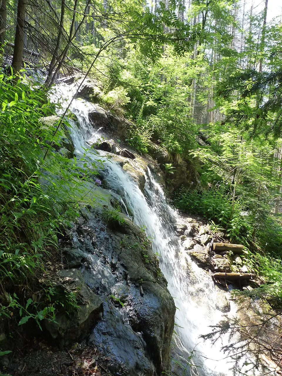 Obrázok: Rosa-Maria Rinkl · CC BY-SA 4.0 Steinbachfall am Falkenstein bei Zwieslerwaldhaus