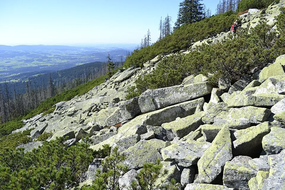 Bayerischer Plöckenstein