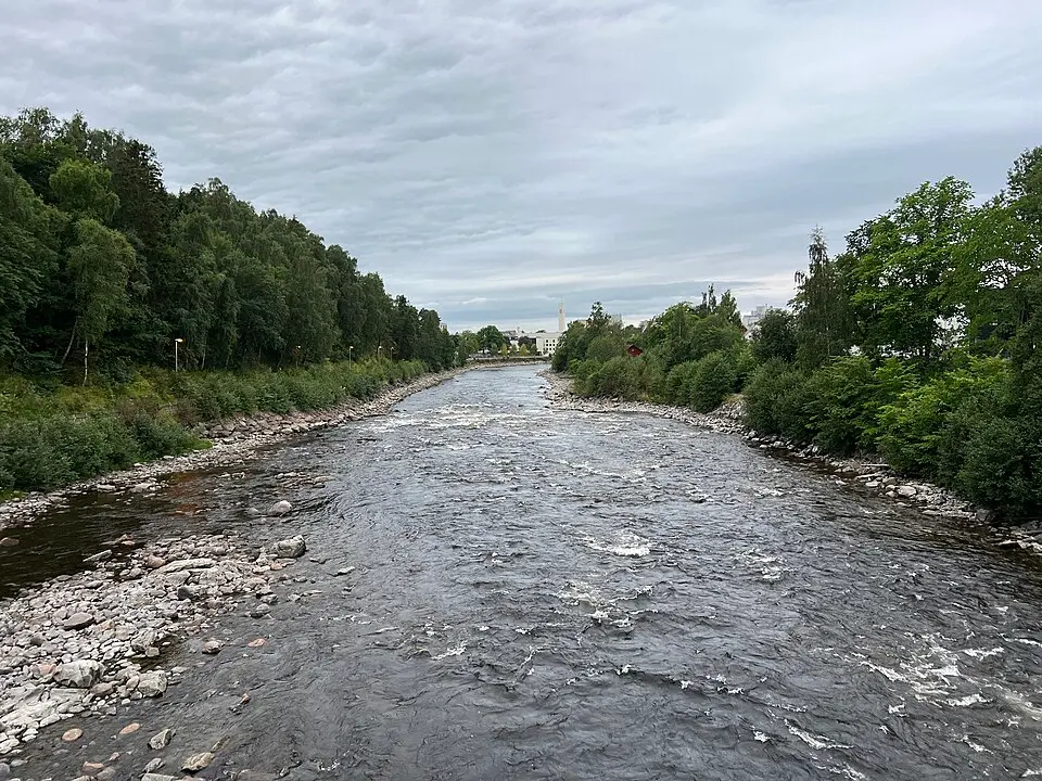 Steinkjerelva
