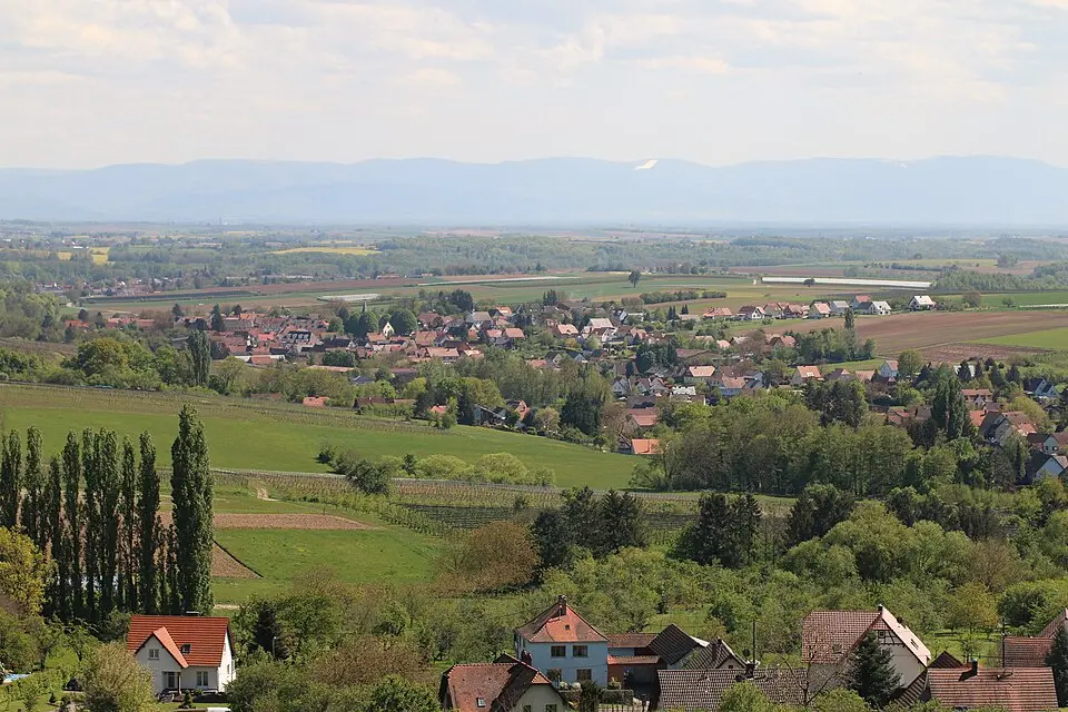 Steinseltz