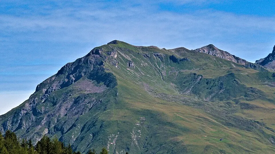 Stelli