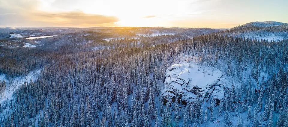 Stenbithöjden