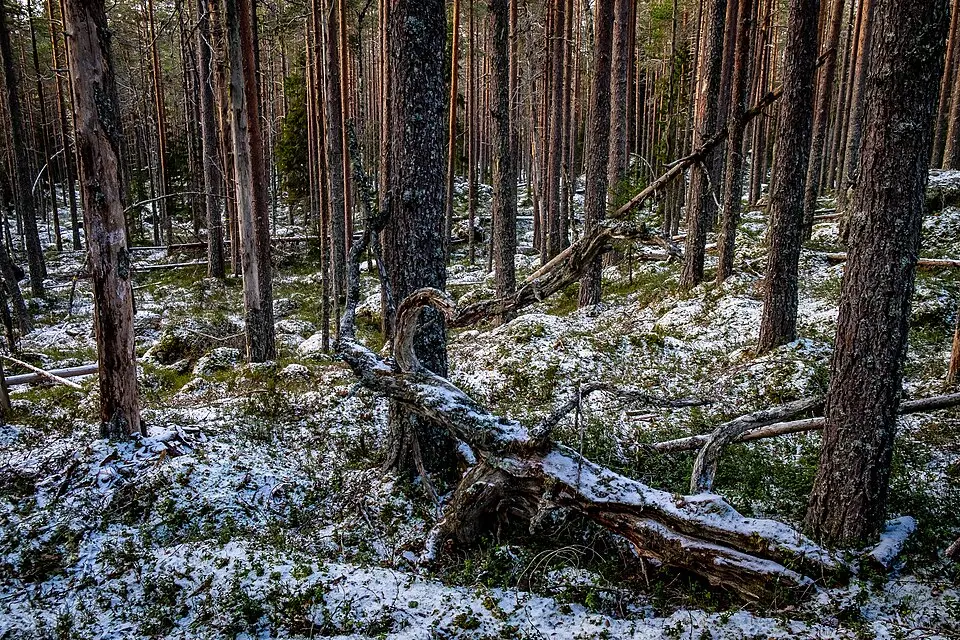 Stensjön