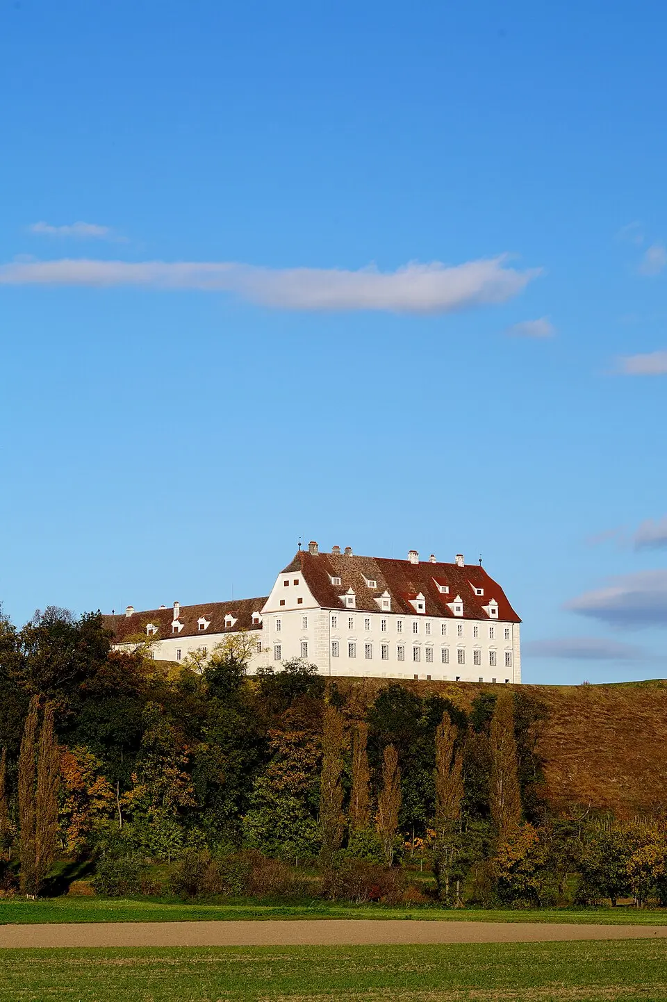 Schloss Juliusburg