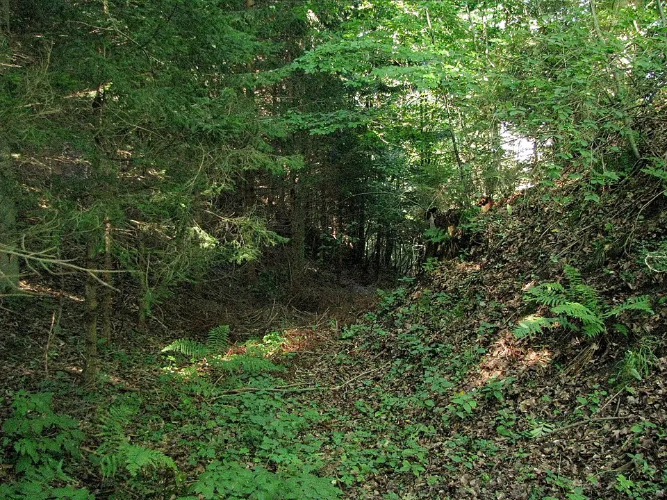 Stiegelburg