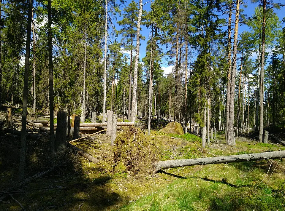 Stjärntorp