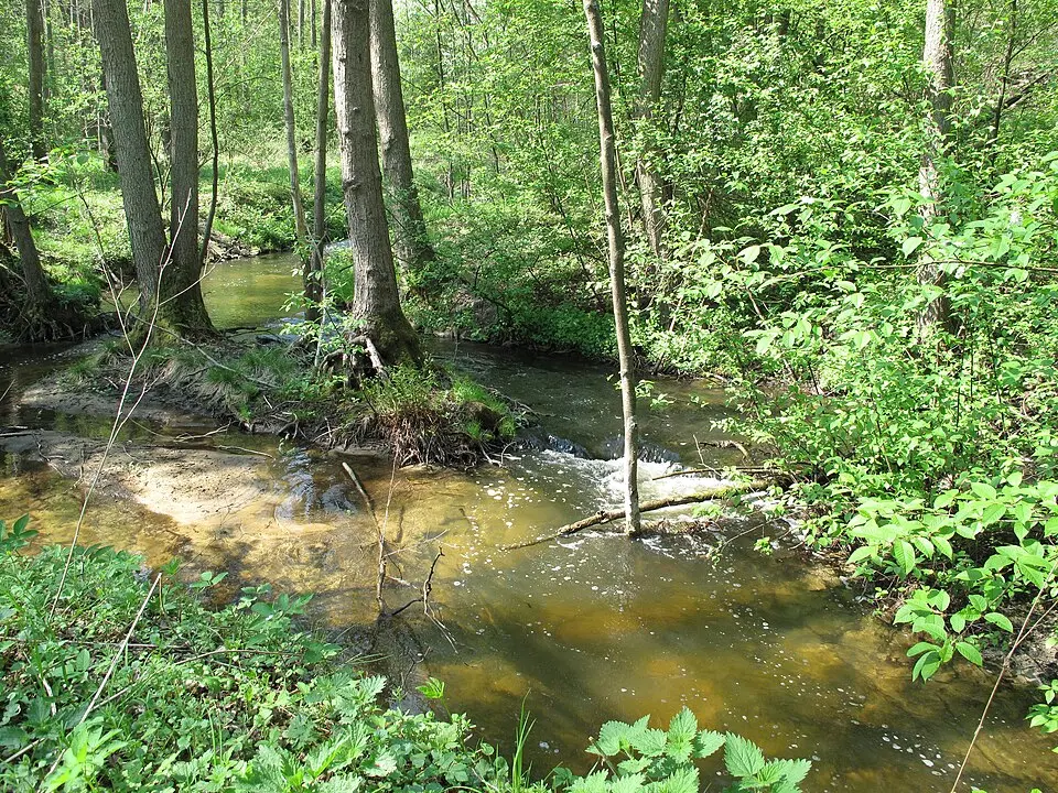 Stöbber